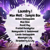 Laundry 1 Wax Melt Sample Box